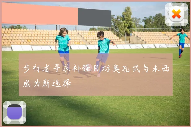 步行者寻求补强目标奥孔武与米西成为新选择