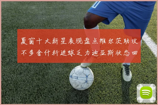 夏窗十大新星表现盘点维尔茨助攻不多舍什科进球乏力迪亚斯状态回暖