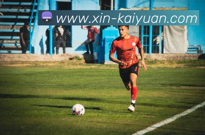 开元体育平台生态图